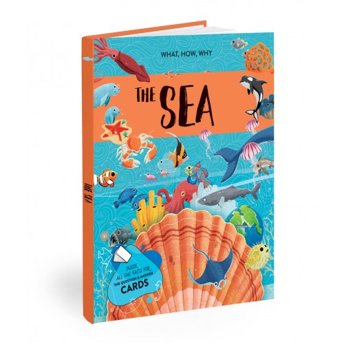 Sassi What How and Why The Sea Book and Poster