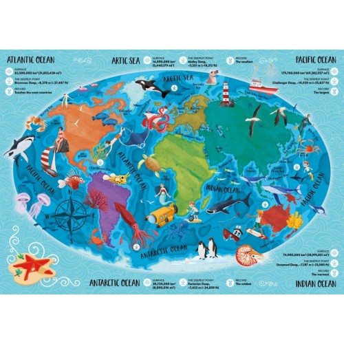 Sassi What How and Why The Sea Book and Poster