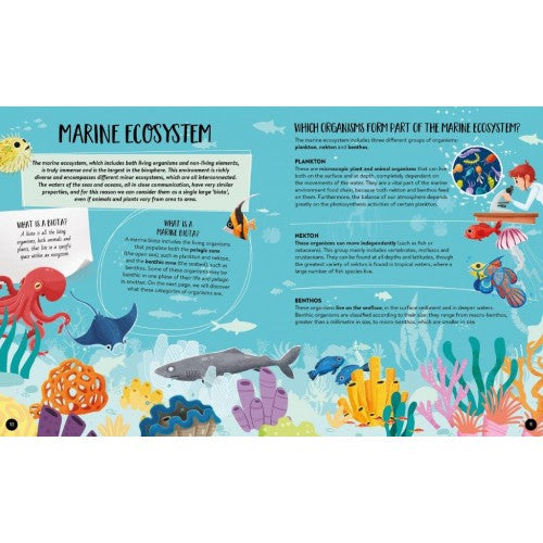 Sassi What How and Why The Sea Book and Poster