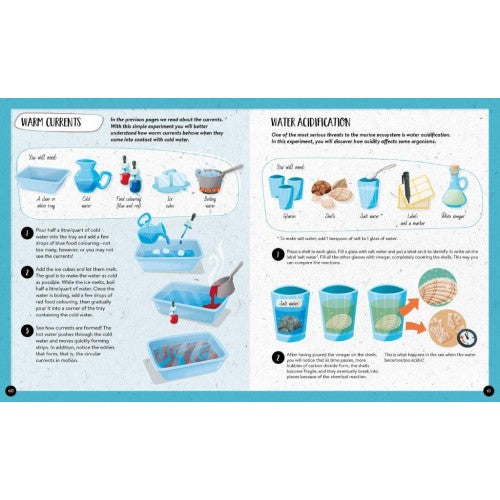 Sassi What How and Why The Sea Book and Poster