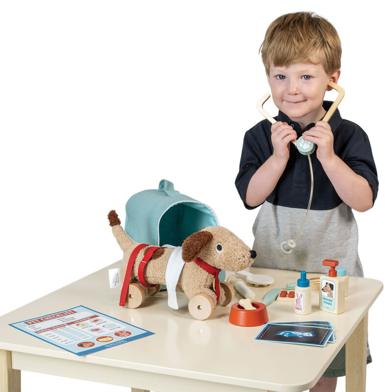 Animal Rescue Vet Case by Tenderleaf Toys