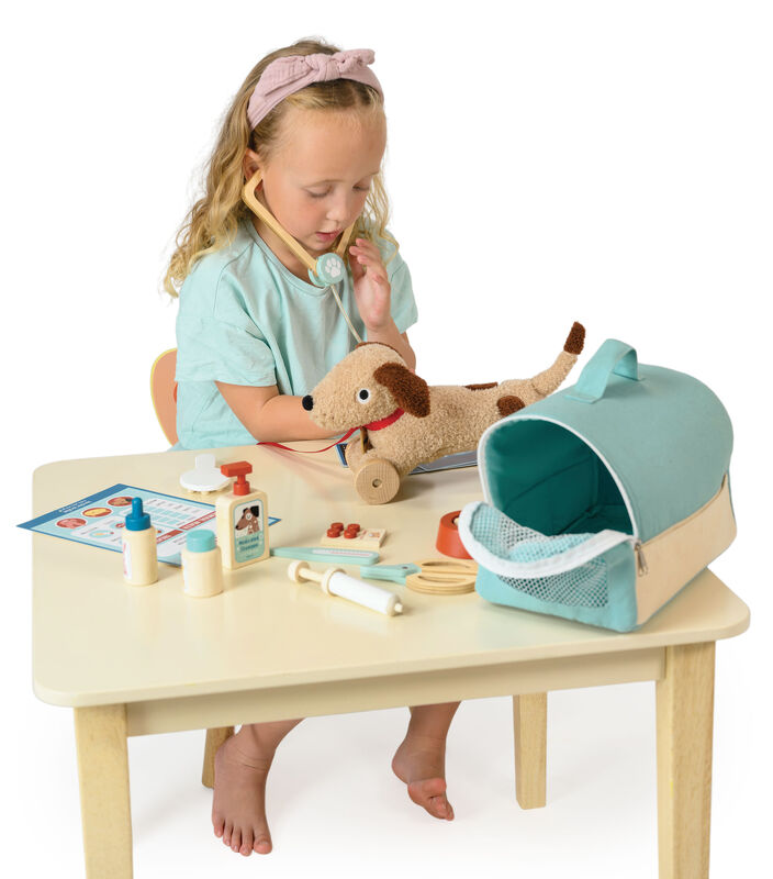 Animal Rescue Vet Case by Tenderleaf Toys