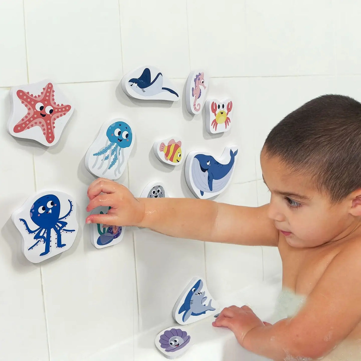 Tub Fun - Ocean - Bath Toy