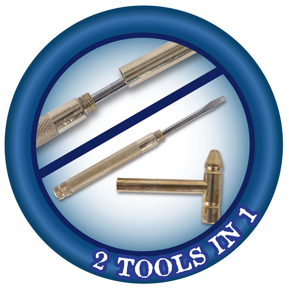 Palaeontology Kit - Triceratops