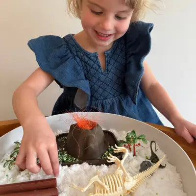 Tray Play Bundle - Dino by Jellystone Designs