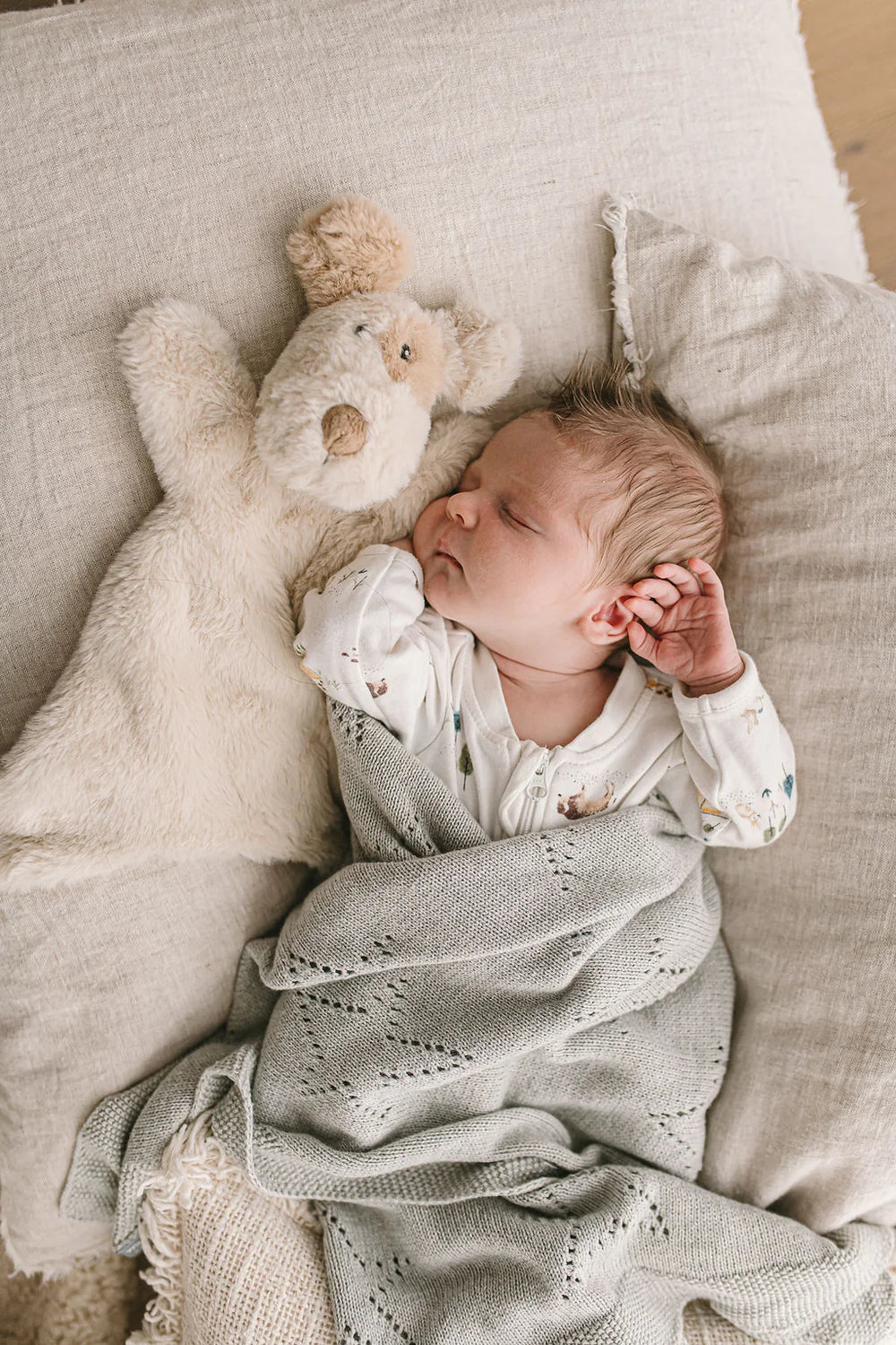 Buddy the Dog Hoochy Coochie by Nana Huchy