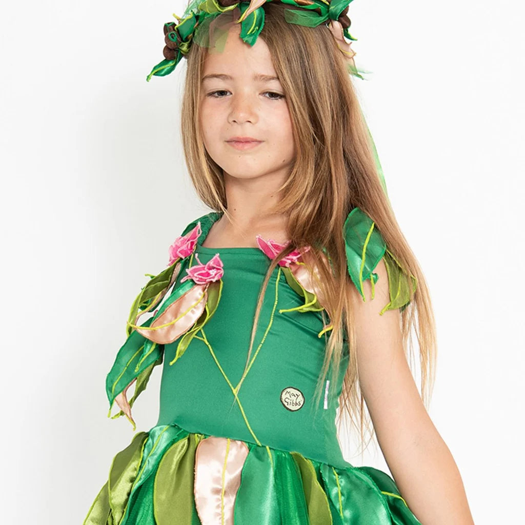 Boronia Babies Dress Up