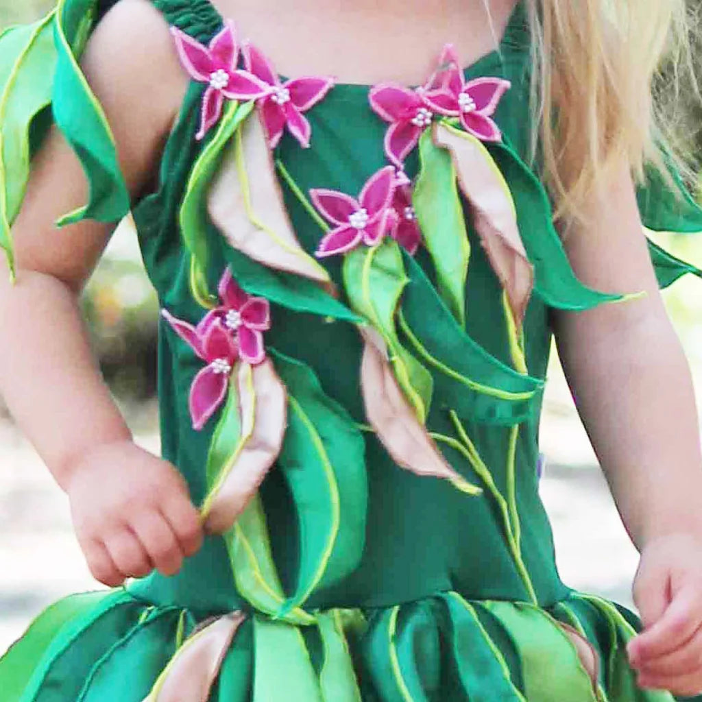 Boronia Babies Dress Up