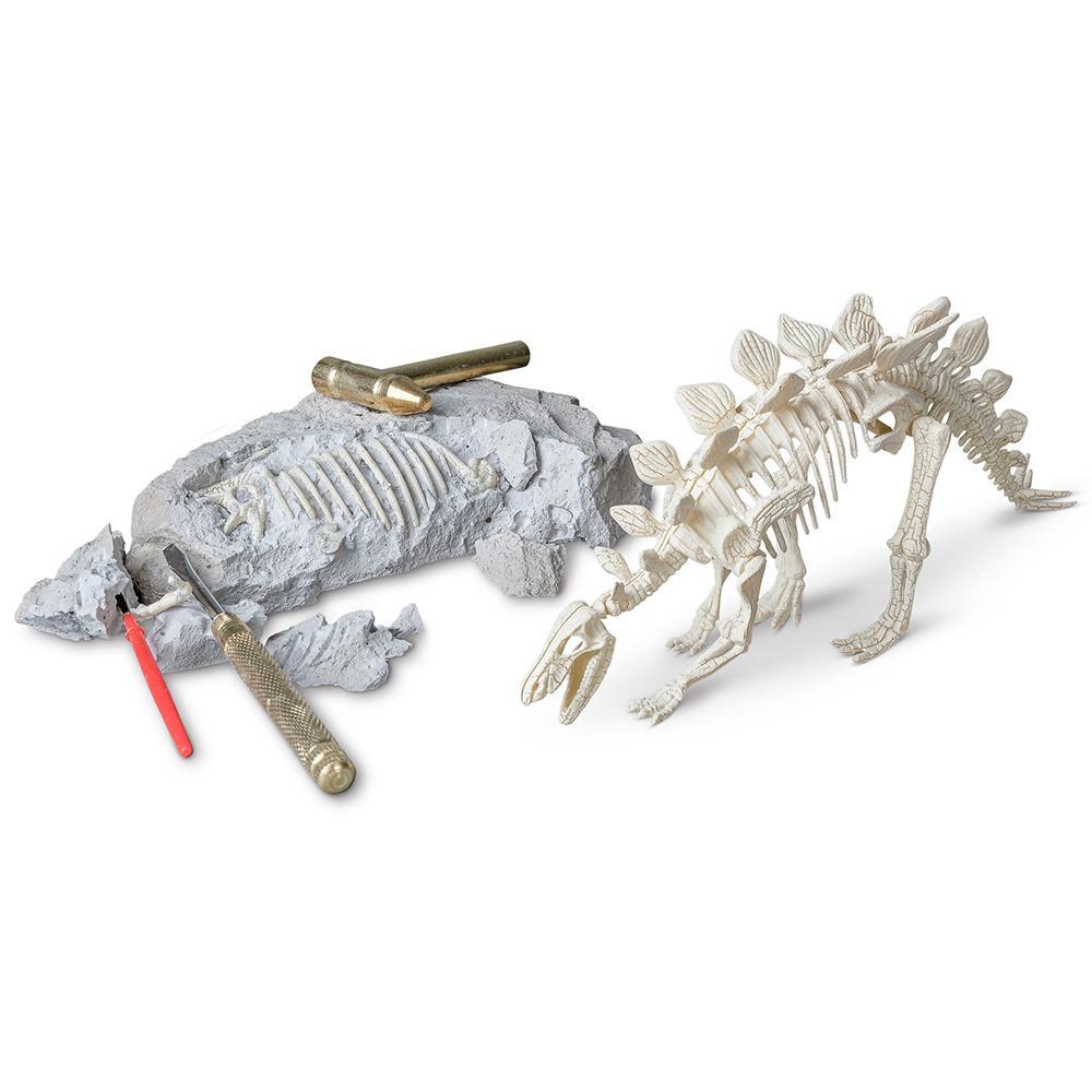 Palaeontology Kit - Stegosaurus