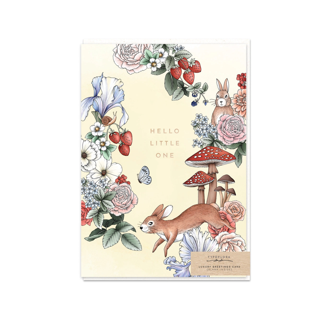 Hello Little One Toadstool Card