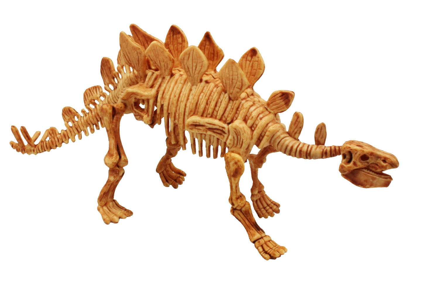 Stegosaurus Excavation Kit