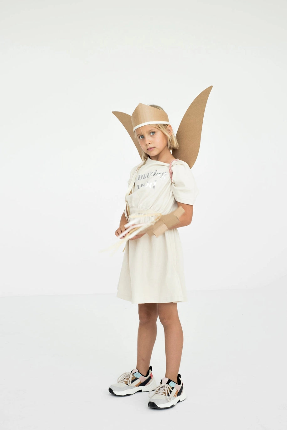 Cardboard DiIY Costume - Fairy