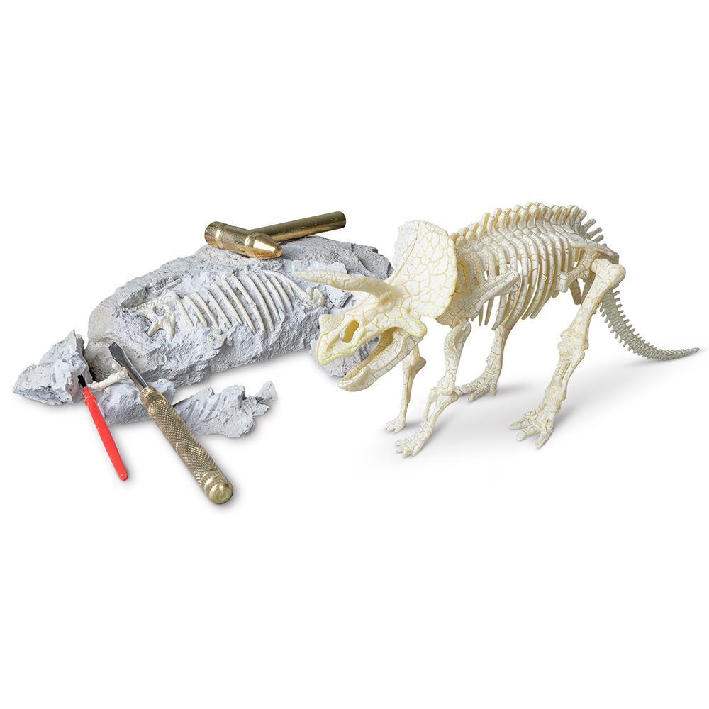 Palaeontology Kit - Triceratops