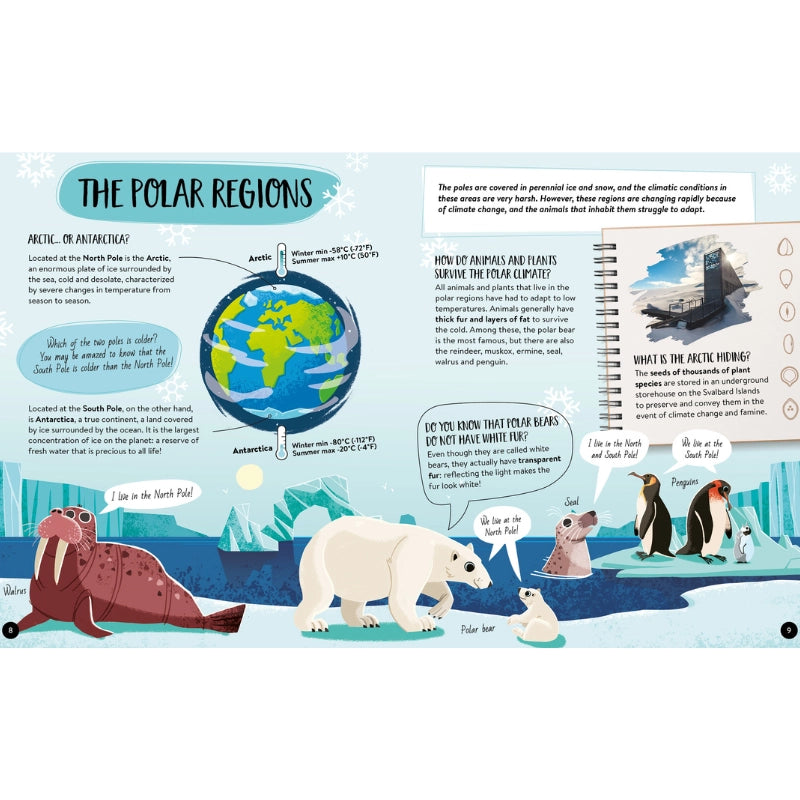 Sassi What How and Why Earth Book and Poster