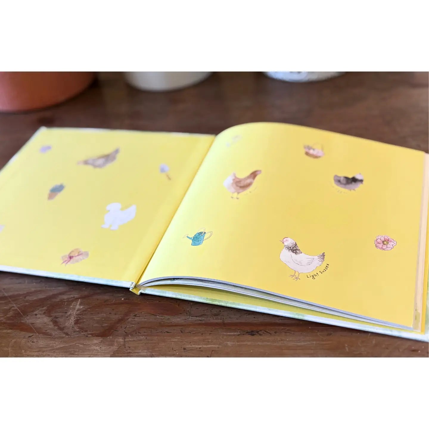 My Incredible Extra Ordinary Chickens Hardcover Book