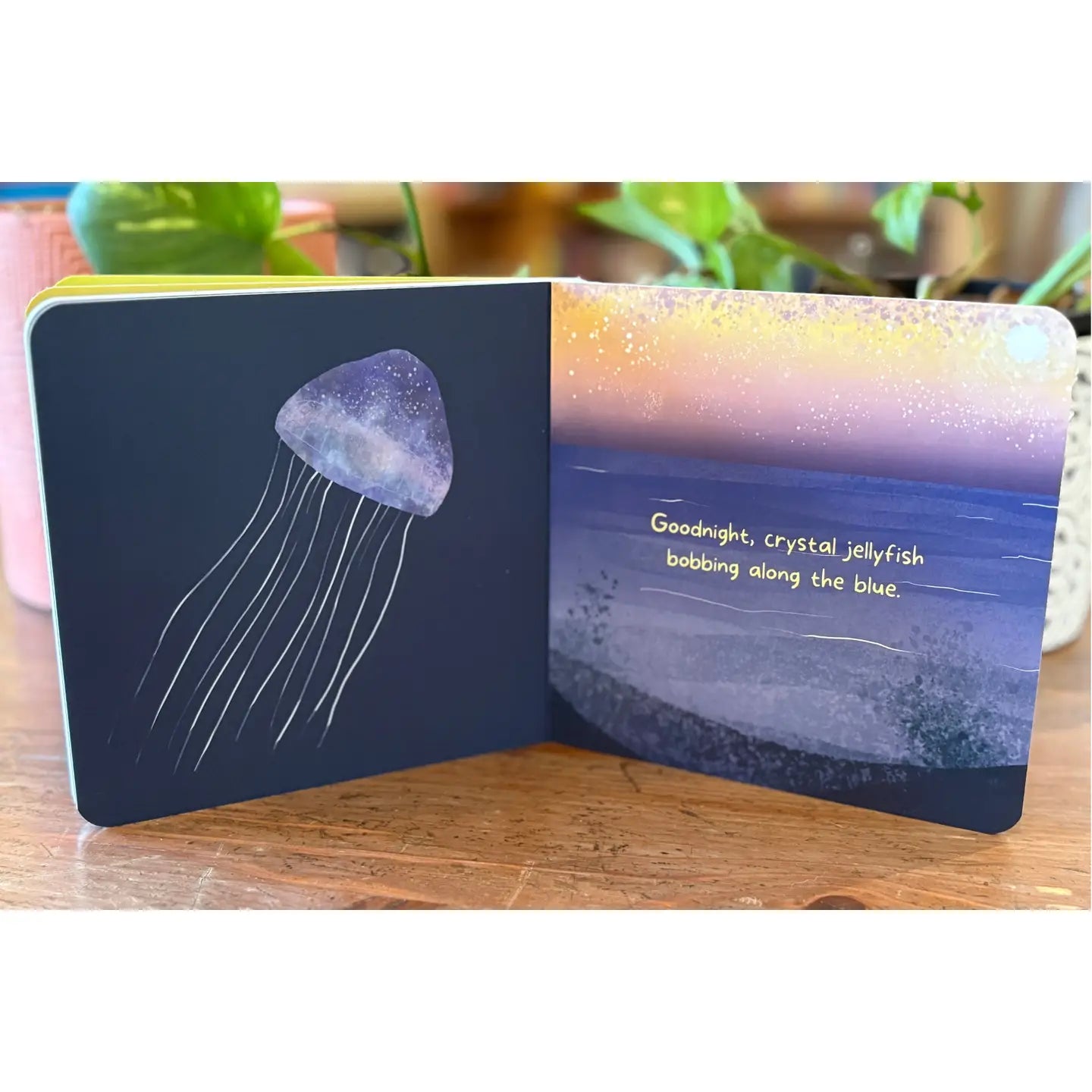 Goodnight, Ocean. Board Book