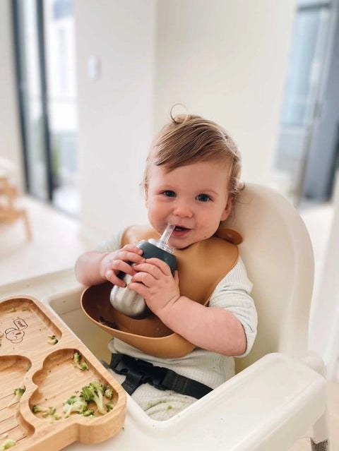 Lion & Lady Toddler Straw Cup Adaptors - Twin Pack Universal