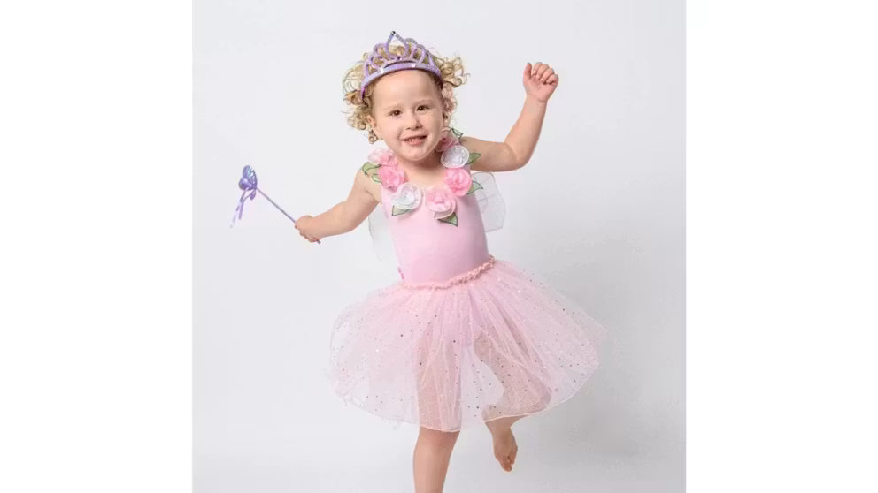 Fairy Dust Dress Up