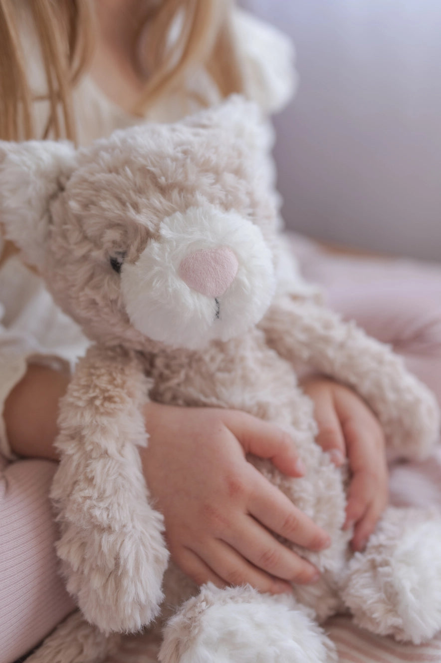 Pickles the Weighted Cat