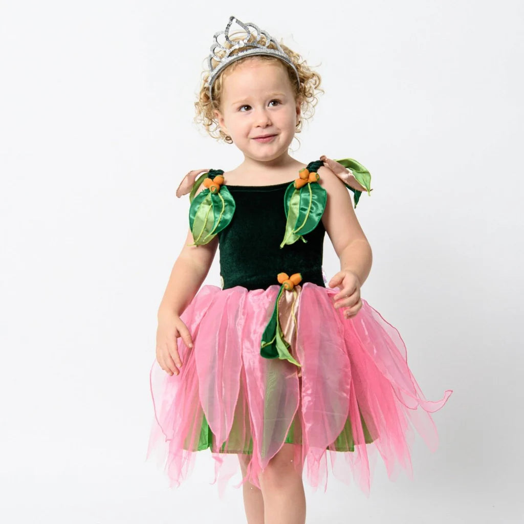 Little Ragged Blossom Dress Up