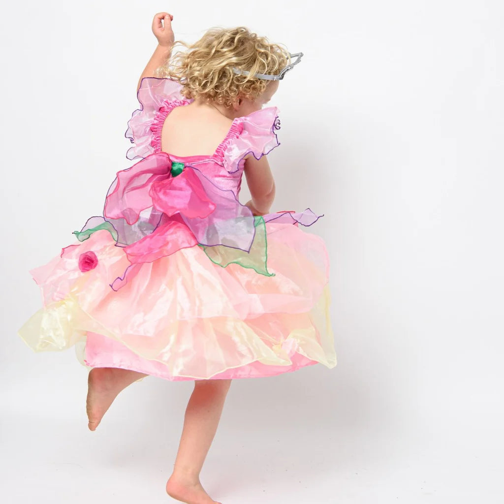 Paris Daisy Fairy Dress Up - Pink