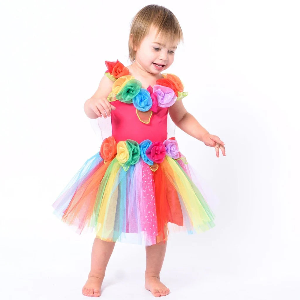 Toddler Fairy Dress Up - Rainbow