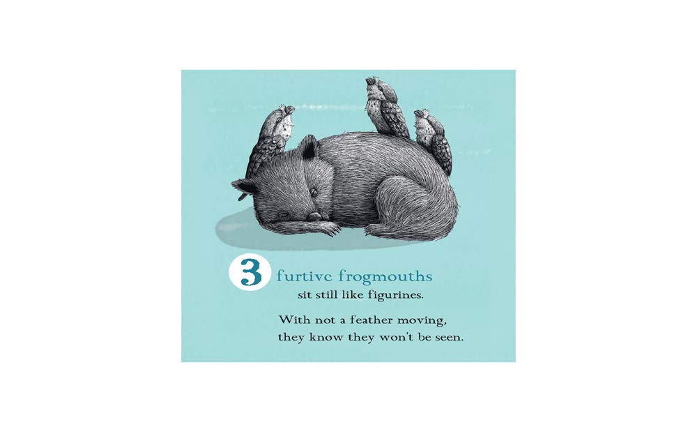 One Very Tired Wombat by Renee Treml Board Book