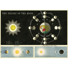 Load image into Gallery viewer, Vintage Posters
