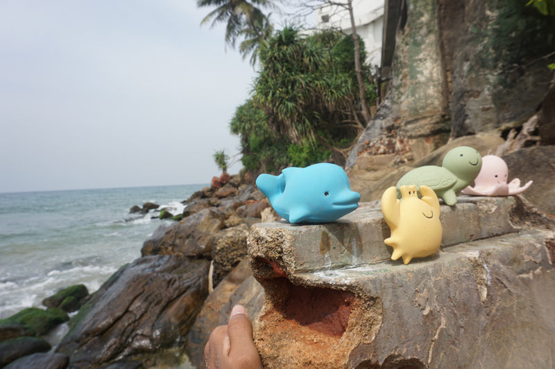 Tikiri Natural Rubber Dolphin