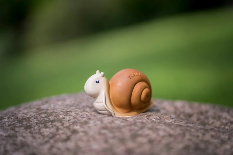 Snail Garden Friend by Tikiri