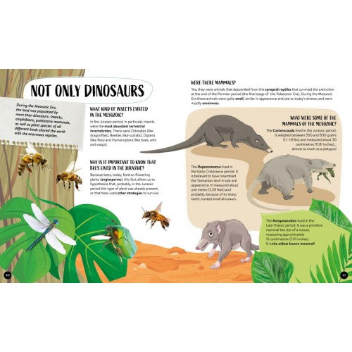 What How and Why Dinosaurs Hard Cover Book and Poster by Sassi Books