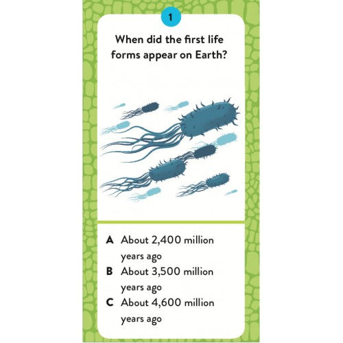 Sassi The Ultimate Atlas and Models Set - Dinosaurs