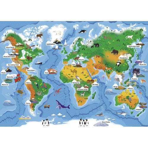 Sassi What How and Why Volcanoes Book and Poster