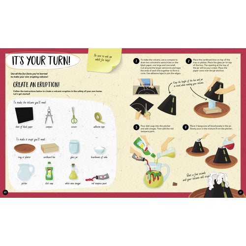 Sassi What How and Why Volcanoes Book and Poster