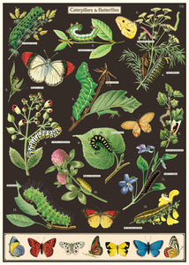 Vintage Posters
