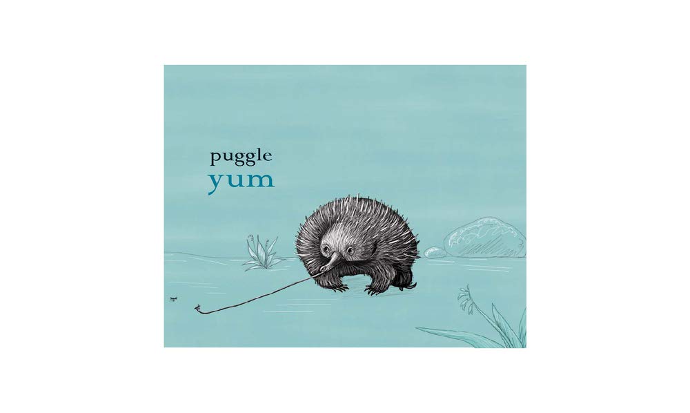 Wombat Big, Puggle Small Board Book
